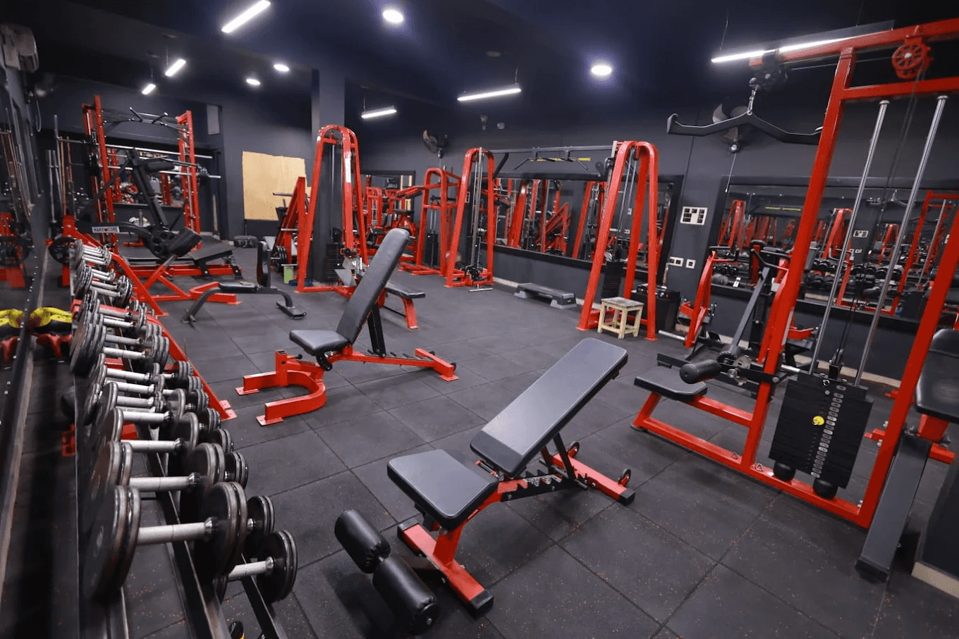 Olympia Fitness Solution