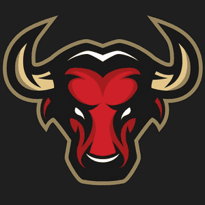 The Bullheads Gym logo