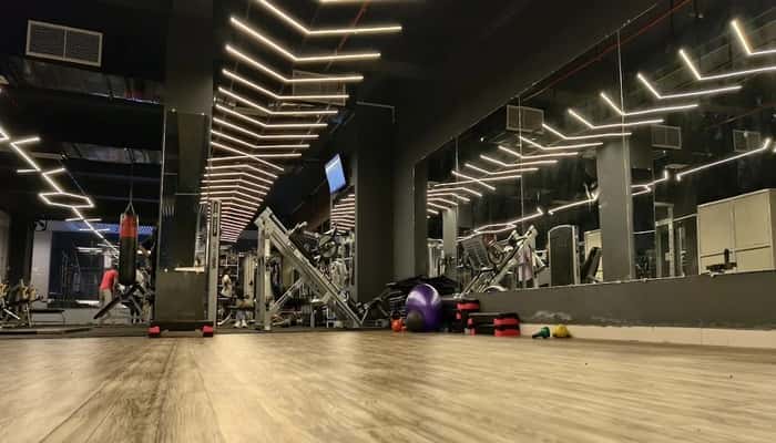 Muscle Maven The Fitness Hub