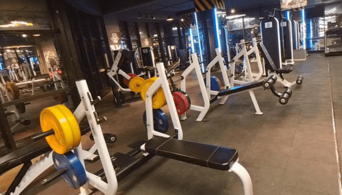 Evolution Gym
