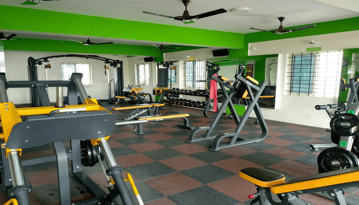 Fitness Frenzy