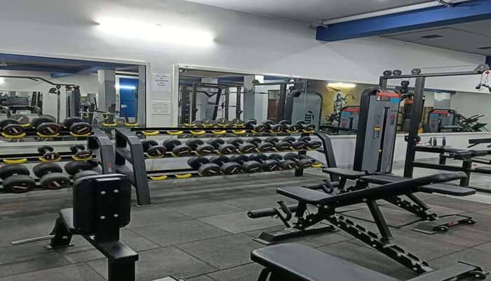 The Lion's Son Gym