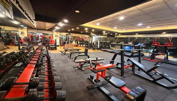House of Champions