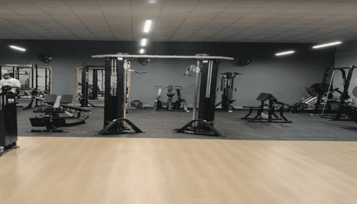 Flex Fitness
