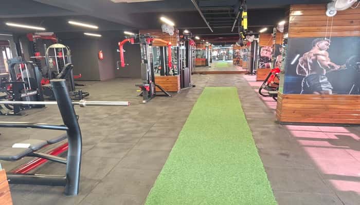Mindmuscle Fitness