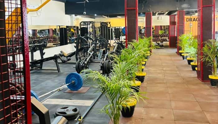 Dragon Ball Gym