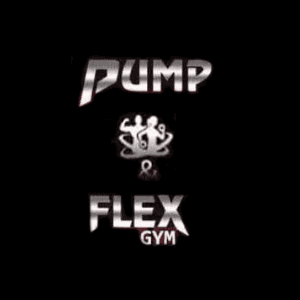 Pump and Flex logo