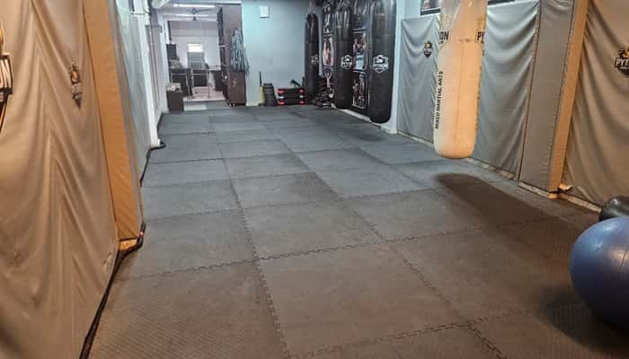 Python MMA Club