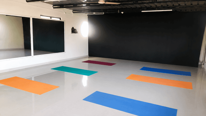Vriddhi Yoga Classes