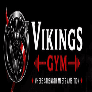 Vikings Fitness Gym logo