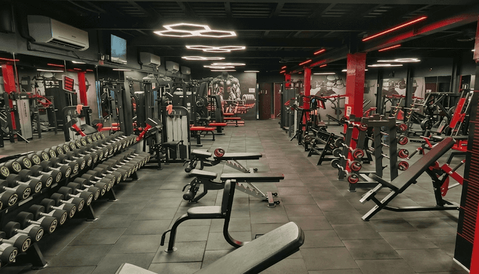 Vikings Fitness Gym