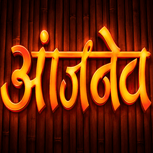 Aanjney Gym logo